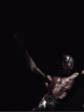 Travis Scott Tapestry Banner Flag 58” X 34” Rap Brass Eyelets